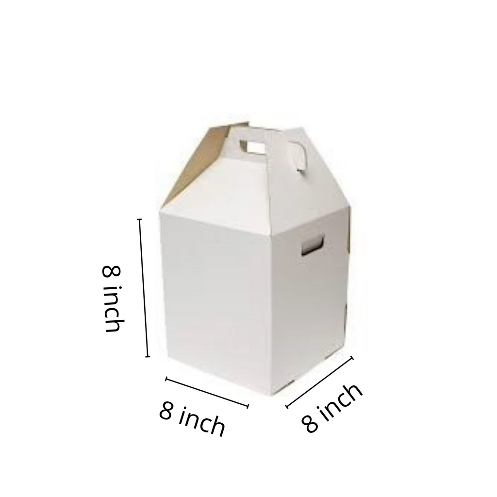 Print Mario White Tall Cake Box – 10x10x10 inches (Pack Of 2) : Amazon.in:  Home & Kitchen